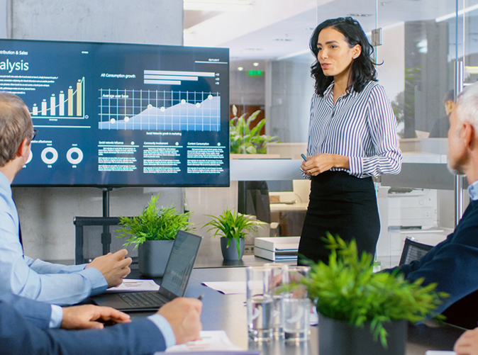 Accounting professional presenting data to team meeting