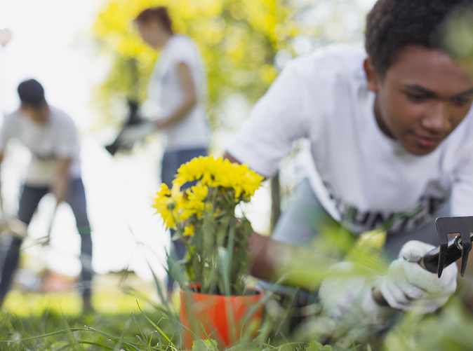 Volunteers planting flowers