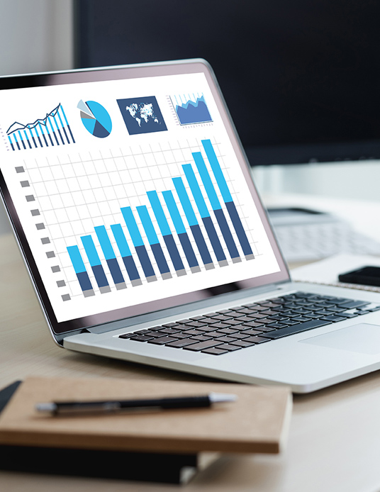 laptop screen displaying charts