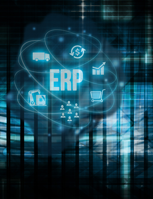 ERP graphic